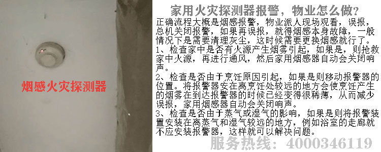 ����̽����