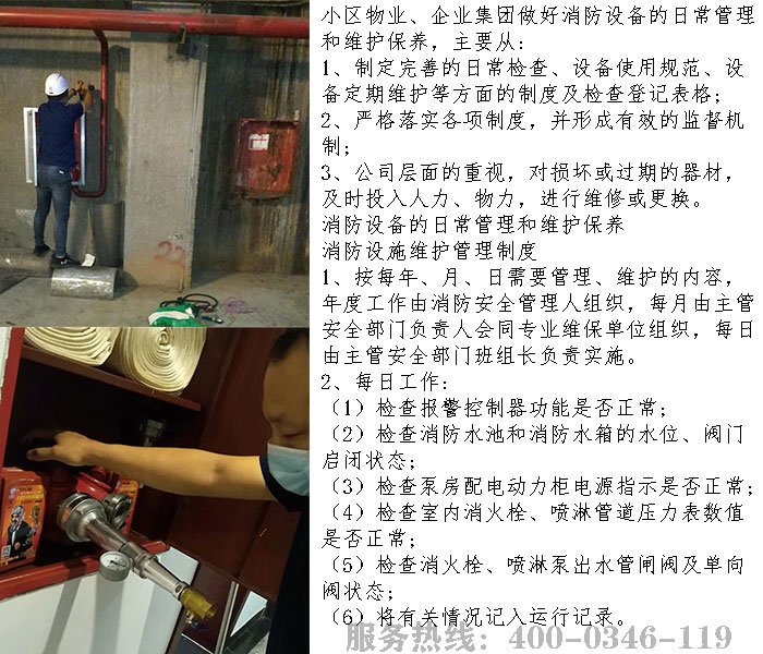 С��bbin��ӯ